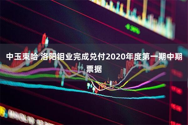 中玉束哈 洛阳钼业完成兑付2020年度第一期中期票据