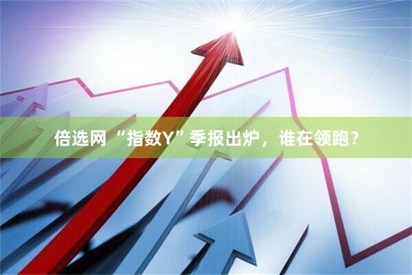 倍选网 “指数Y”季报出炉，谁在领跑？