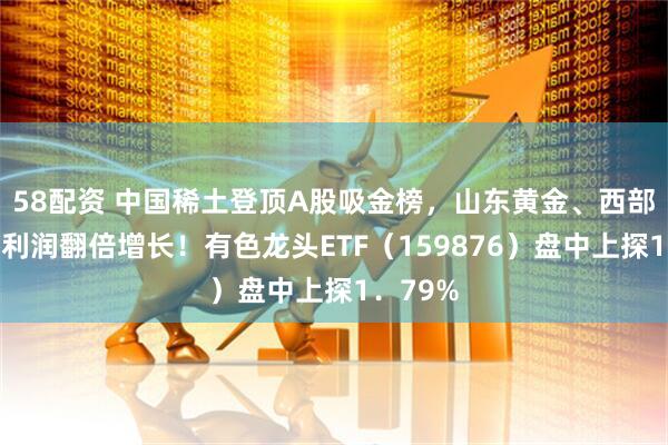 58配资 中国稀土登顶A股吸金榜，山东黄金、西部黄金净利润翻倍增长！有色龙头ETF（159876）盘中上探1．79%