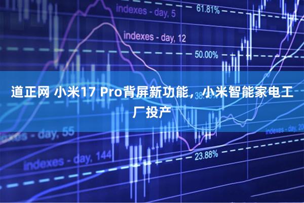 道正网 小米17 Pro背屏新功能，小米智能家电工厂投产